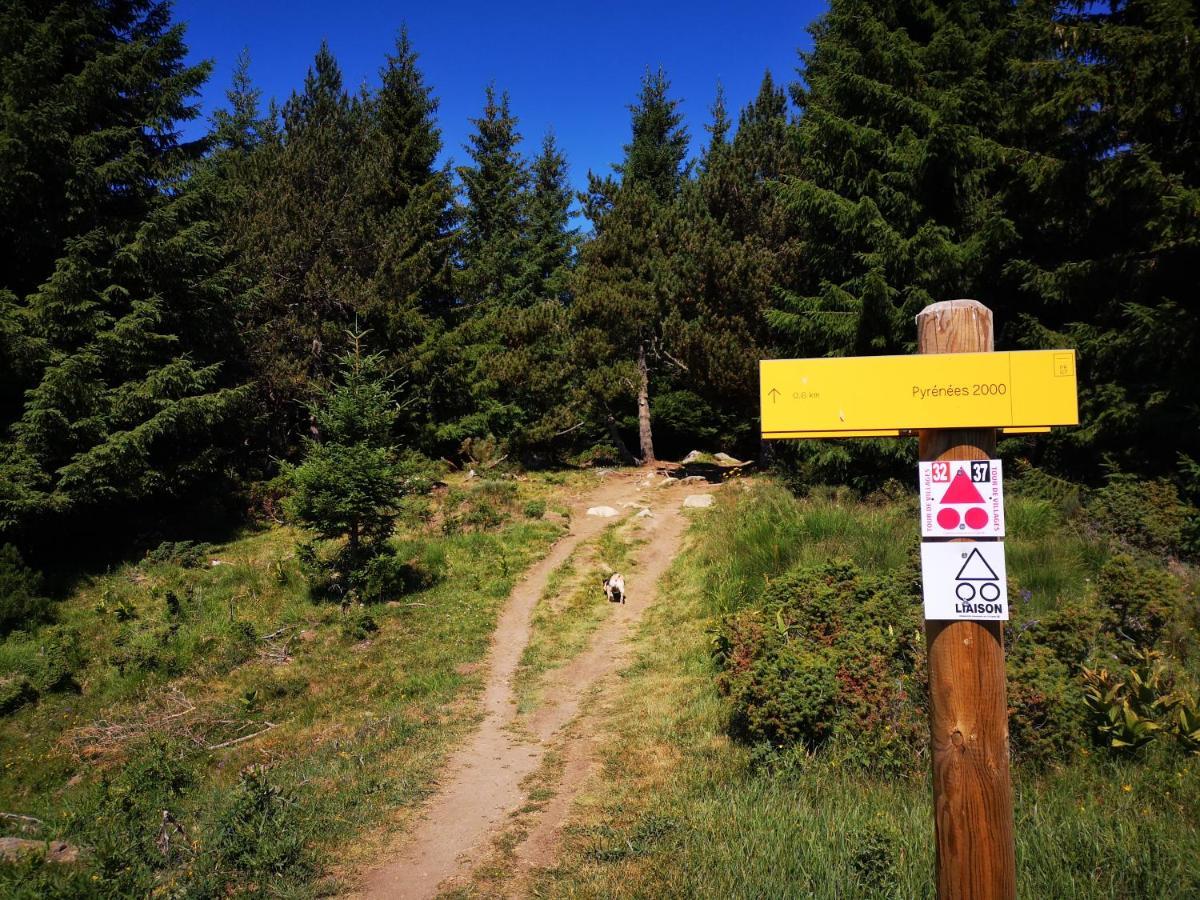 Apt Confortable Au Pied Des Pistes Et De La Foret Bolquere Экстерьер фото