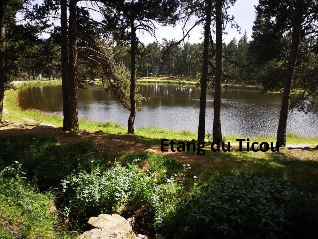 Apt Confortable Au Pied Des Pistes Et De La Foret Bolquere Экстерьер фото