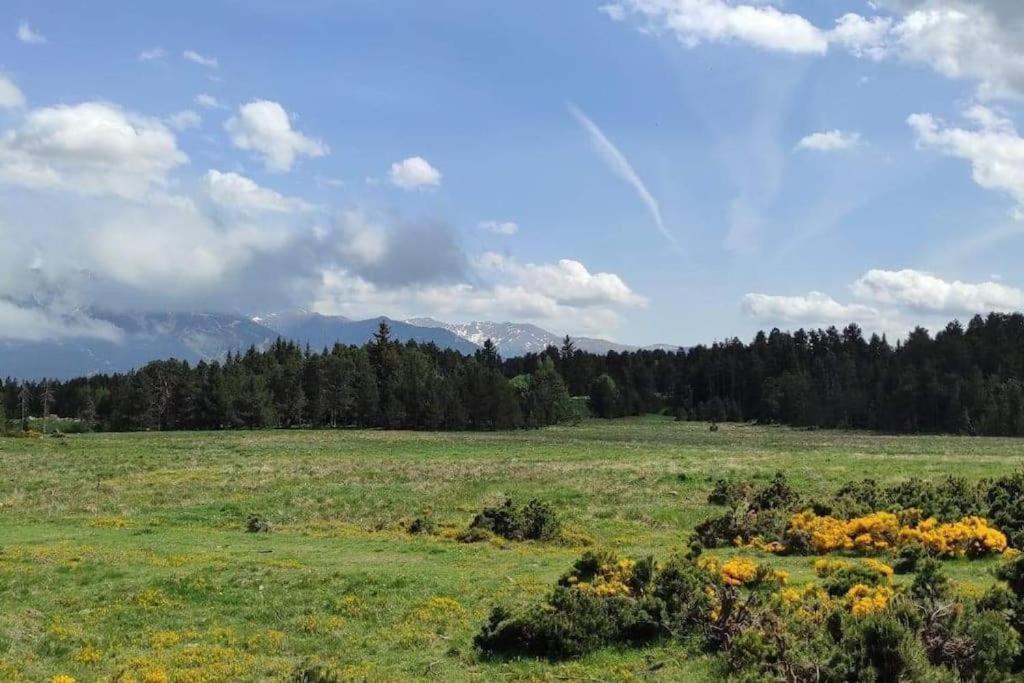 Apt Confortable Au Pied Des Pistes Et De La Foret Bolquere Экстерьер фото